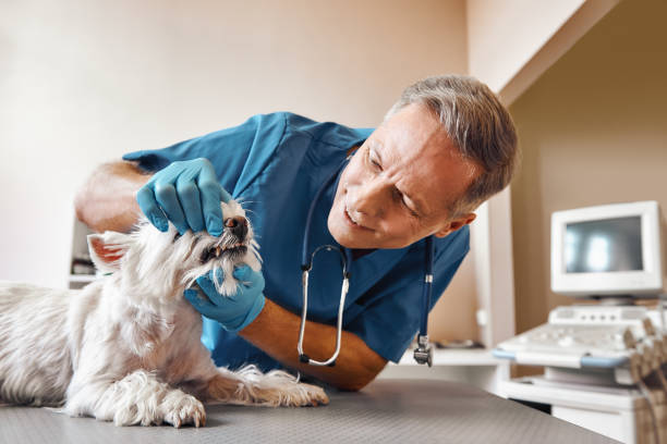 Best Same-Day Emergency Dentist in Pasadena, TX